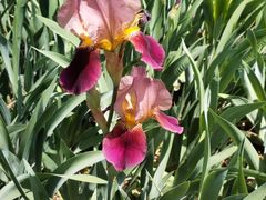 -永定河休闲森林公园