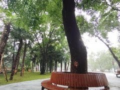 -西苑公园