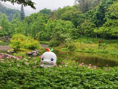 -云溪植物园