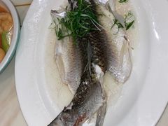 -稻香酒家·35年老字号(侨光店)