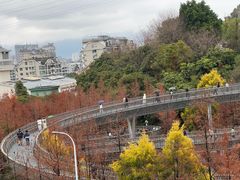 -福道