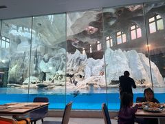 -帝企鹅自助餐厅•儿童岛•真企鹅(长隆企鹅酒店)