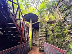 -梭布垭石林景区