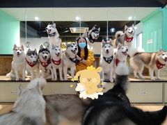 -Husky Go! 哈士奇体验馆·宠物咖啡厅狗咖