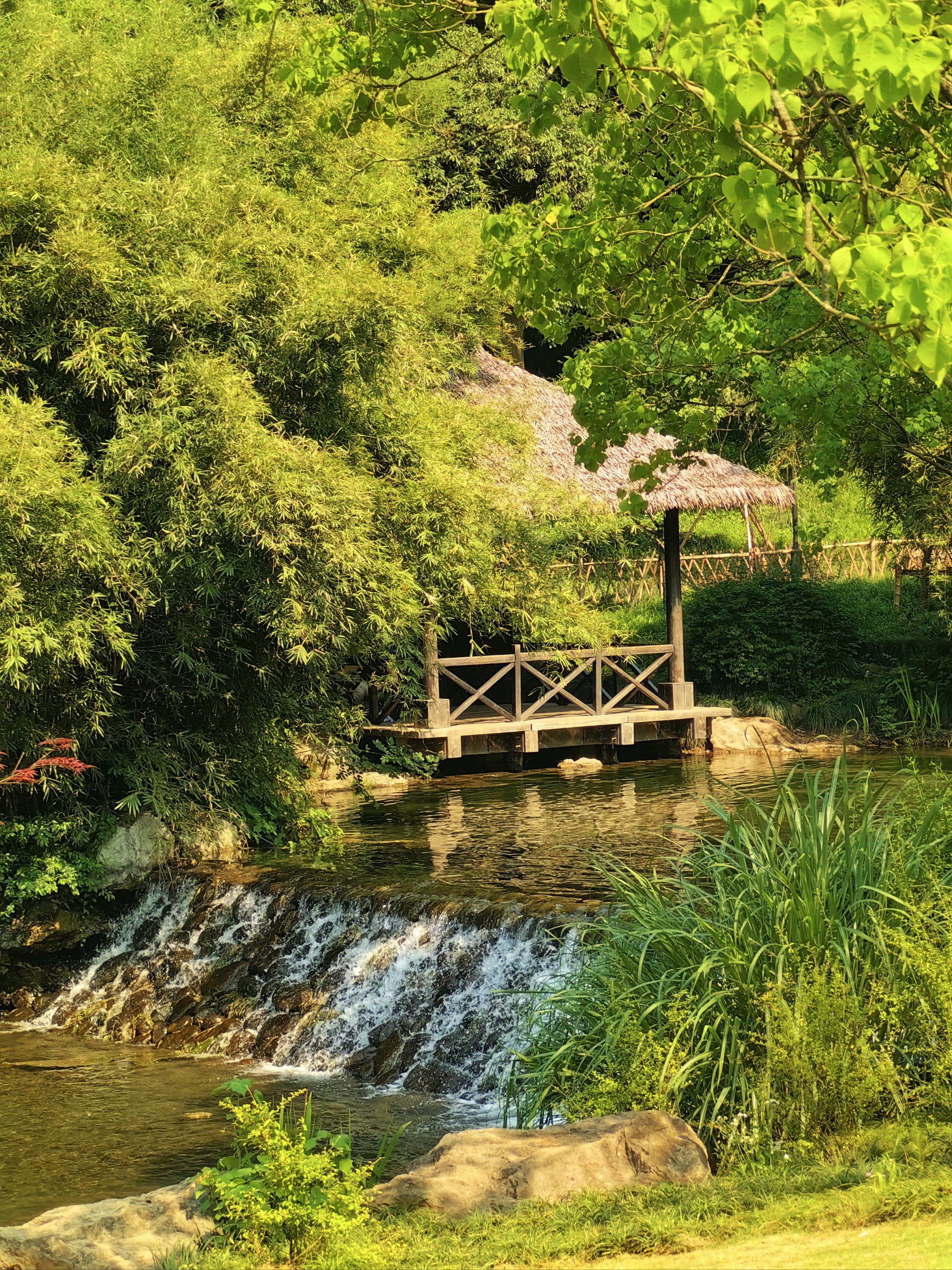 玩转杭州|浴鹄湾(乌龟潭)景区