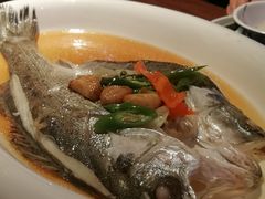 葱烧鲈鱼-绿茶餐厅(乐峰广场店)