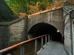 -白水寺森林公园