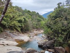 -海南霸王岭国家森林公园