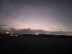 -东郊椰林