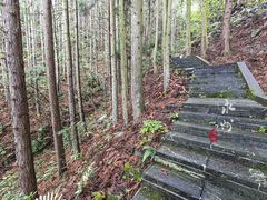 -永州阳明山国家森林公园