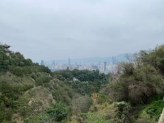 -白塔山公园