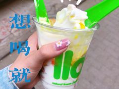 -Salud撒露欧洲冻酸奶(798艺术区店)
