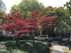 -上海市浦东新区明珠幼儿园