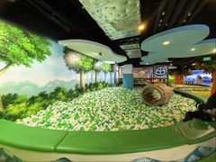 -上海佘山世茂艾美酒店