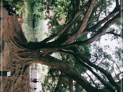 -晓港公园