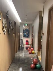 -伊丽汇
