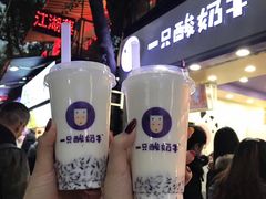 -一只酸奶牛(八一路店)