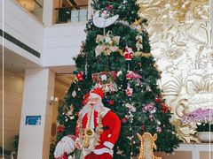 -龙悦湾酒家·八阵鱼生·渔人码头店