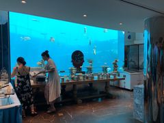 -瑞德姆美人鱼海底演艺主题餐厅(亚龙湾店)