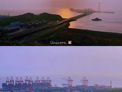 -洋山深水港