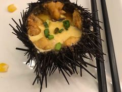 海胆蒸蛋-新海渔港·胶东海鲜家常菜·家宴(奥体中心店)