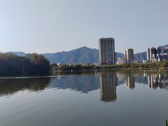 -飞来湖湿地公园