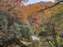 -光雾山旅游景区