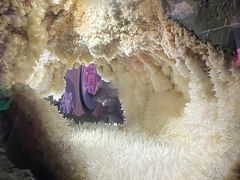 -湖南省地质博物馆