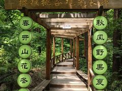 -大岭沟猕猴桃谷风景区