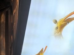 -徽三说·土徽菜·中国徽菜连锁品牌(一中店)