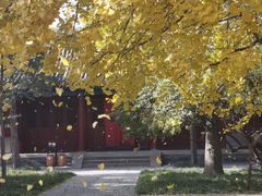 -大钟寺古钟博物馆