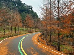 -福清灵石山国家森林公园