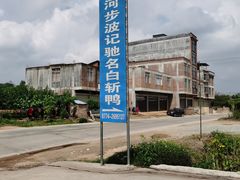 -河步波记驰名白斩鸭