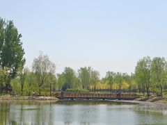 -东郊湿地公园
