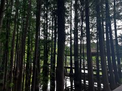 -采石矶景区