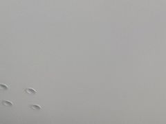 -黄牛肉馆·皖南土菜
