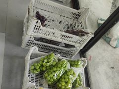 -马陆小张葡萄园农家乐