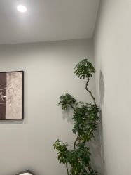 -张小野·专业半永久纹眉
