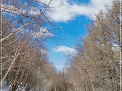 -白草畔自然风景区