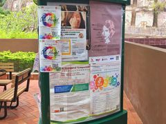 -香港大学