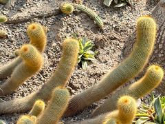 -南山植物园