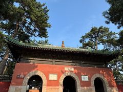 -普乐寺