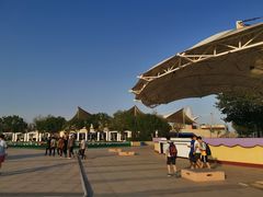 -秦皇岛乐岛海洋王国