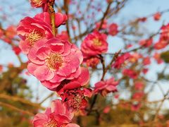 -天生桥景区