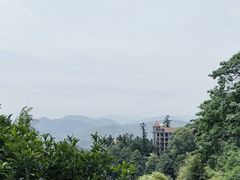 -莫干山风景区
