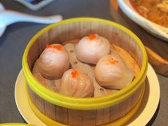 -采蝶轩