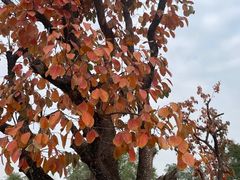 -汉长安城未央宫国家考古遗址公园