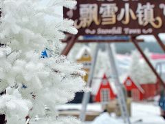 -盈香心动乐园