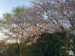 -凤城河风景区