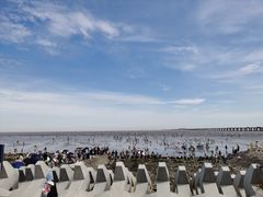 -南汇新城海滩